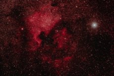 12. - 13. 11. 2015: North America and Pelican nebula, Deneb.